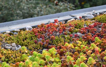 the cost of Chetwynd Aston green roof installation
